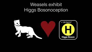 BAHFest East 2017 – Beth Bearce A Fatal Attraction Higgs Bosonoception in the Stone Marten [upl. by Ed]