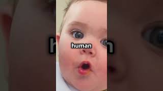 Animals vs Humans The Hilarious Truth  History  shorts sciencefacts viral [upl. by Amaras]