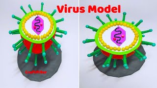 virus model making3d science project  diy  craftpiller  still model [upl. by Fred]