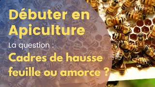 Débuter en apiculture  cadres de hausse avec une feuille de cire gaufrée ou avec simple amorce [upl. by Layod]