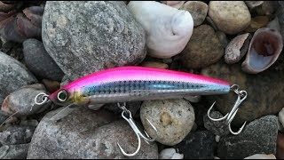 Catching Striped Bass With Pink Lures [upl. by Allerie]