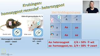 Erfelijkheid Kruisingsschema  biodam thema 3 video 2 van 4 [upl. by Idell]