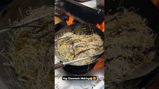 Veg Chowmein In Just Rs80 Only At Shree Pandit Ji Foods Mall Road Kanpur  shorts [upl. by Andromada611]