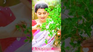 Sonamoni new adivasi baganiya song 2024 adivaasisongsong jhumursongs 2024 adivasi jhumur video [upl. by Zeuqirdor]