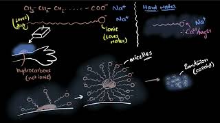 Soaps and detergents  Carbon and its compounds  Class 10 Chemistry  Khan Academy [upl. by Aranahs]