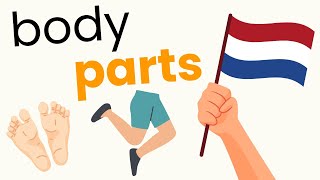 20 Lichaamsdelen In Het Nederlands  Learn Body Words In Dutch  The Dutch Den [upl. by Dimond]