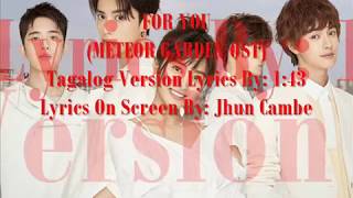 FOR YOU METEOR GARDEN OST Tagalog Version Lyrics [upl. by Airetas]