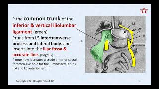 A Deep Dive into the Ligaments around the Sacroiliac Joint  Disorders of the Sacroiliac Joint Pt 1 [upl. by Anastos]