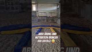 Das erste Spingtraining für Bellamie 🤩 minishetty [upl. by Adnoval]