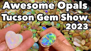 Awesome Opals at the Tucson Gem Show 2023 w AampS OPAL Spencer Opal Mines Ethiopian Goodies [upl. by Amarette139]