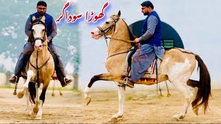 Sodagar  Most Beautiful Chal Baz Ghoda Sodagar [upl. by Leacim785]