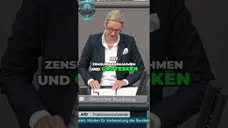 🚫📜 Alice Weidel Die Gefahren der Zensur – Wie Gesetze Unser Land Spalten 🇩🇪⚖️ [upl. by Normandy]