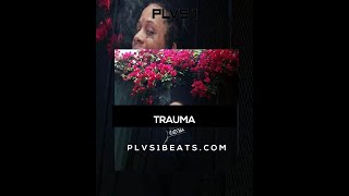 FREE Trippie Redd x Rod Wave Type Beat quotTRAUMAquot [upl. by Luemas573]