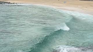 Bronte and Tamarama Surf Check Monday August 12th 2024 900am [upl. by Analiese]