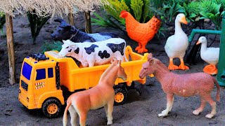 animals video horse dog cow cow hamba matikata trolley tractor cattle  Nov 10 20241053 AM [upl. by Anoid]