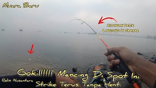 Gak butuh waktu lama mancing di spot ini umpan turun langsung sambar MANCING MUARA BARU [upl. by Aerdnak481]