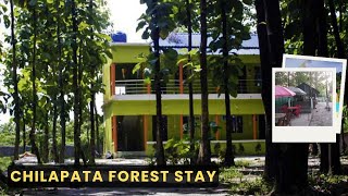 Chilapata Forest Stay I Homestay Inside Chilapata Forest  Forest Location  Wonder Vision Holidays [upl. by Airlee]