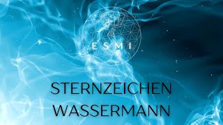 ♒️ Sternzeichen Wassermann Freigeist mit einem Hauch von Sarkasmus [upl. by Turnbull]