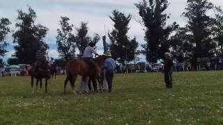 La rubia linda garcilazo VS Gercison pinheiro machado [upl. by Anez111]