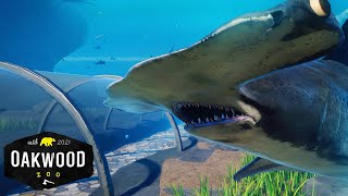 Working SHARK TUNNEL In Planet Zoo 🦈  Planet Zoo Mod Zoo Speedbuild [upl. by Yenolem696]