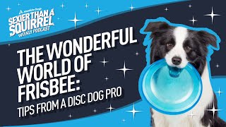 The Wonderful World of Frisbee Tips from a Disc Dog Pro [upl. by Siver]