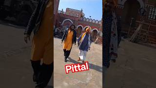 Pittal pittal 🔥 new song viral trending shortvideo [upl. by Harsho]