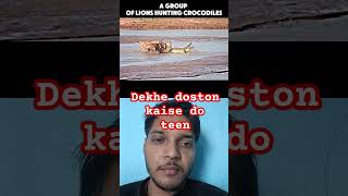 Dekhe doston kaise tiger log kaise banate hain animals lion [upl. by Leterg]