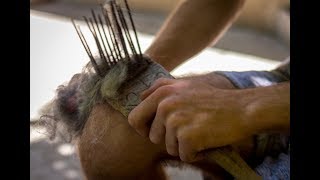 Hand Processing Wool  Combing with Antique Combs [upl. by Boucher]