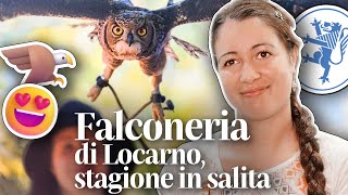 🦅😃 Inizio in salita per la Falconeria di Locarno 🦁💙 però spuntano «Pagine alate» 🦉🪺 [upl. by Nayar581]