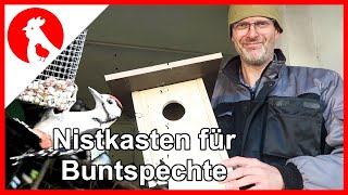 074 Nistkasten für Buntspechte  Jensman and the Huhns 🐔🐔🐔 [upl. by Daraj]