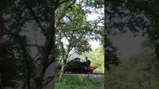 Prairie on the Morning Goods  Dart Valley Steam train railway devon [upl. by Michigan]