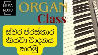 Organ Class  Lesson 2 Easy Steps to reading Notations [upl. by Ivers]