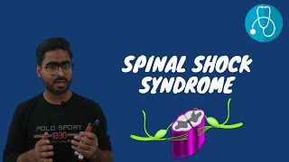 Spinal Shock Syndrome  SPINAL CORD SYNDROMES  URDU \ HINDI [upl. by Nagorb]