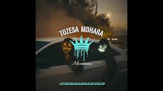 Manamana  Tozeza Mdhara official audio [upl. by Coveney824]