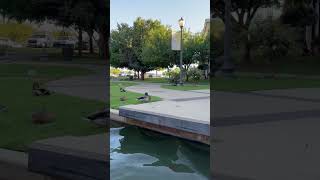 Bricktown Oklahoma nature relaxing relaxingmusic meditationmusic travel nature oklahoma [upl. by Yral]