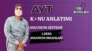 Solunum Sistemi  1 Ders Solunum Organlarının Yapısı 2025tayfa [upl. by Aihsenor]