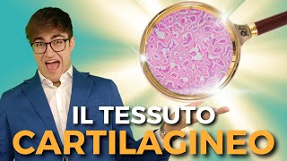 Il TESSUTO CARTILAGINEO in 7 minuti esatti  BIOLOGIA FACILE [upl. by Fai826]