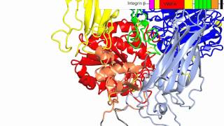 Integrins [upl. by Crofoot]