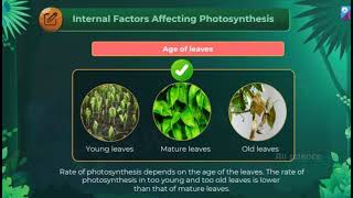 Photosynthesis in higher plants viralvideo science plants photosynthesis biology cbse [upl. by Gwendolyn]