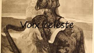 How to Pronounce Voix celeste [upl. by Hayila]