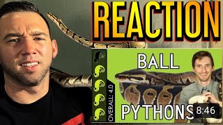 Ball Python The Best Pet  Reptile Reaction to Clints Reptiles [upl. by Range]