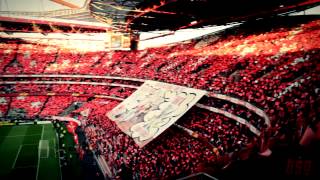 Benfica  Fenerbahce  Coreografia [upl. by Comfort]