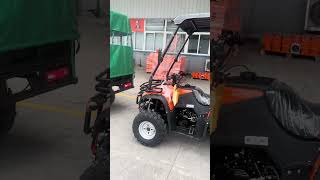 Zongshen 250cc 300cc engine quad bike farmvehicle [upl. by Leiva]