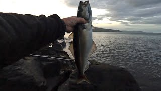 Brilliant fishing on the County Antrim coast [upl. by Trefor238]