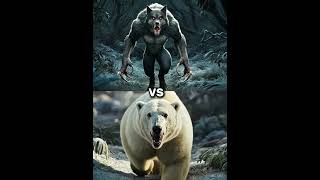 Werewolf vs Polar Bear vs White Animals Lion Tiger Wolf blackpanther king kong Yeti hyena [upl. by Jacob274]