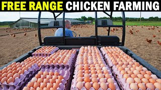 Free range Chicken Farming  Free Range Poultry Farming  Egg Farm [upl. by Eemla]