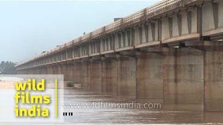 River Mahanadi in India [upl. by Strenta]