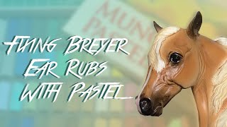 Fixing Breyer Ear Rubs With Pastel [upl. by Rahm]