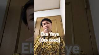 Eka Yaye Kaka Wetiඑක යායේ කකා වැටී by Edward Jayakody cover srilanka sinhala [upl. by Schramke]