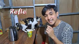 Vlog  Ep2  Few things I learned as unemployed  Tagalog [upl. by Mettah126]